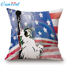 USA Statue of Liberty Pillow