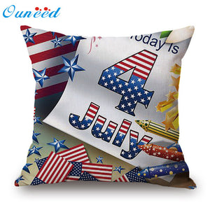USA Statue of Liberty Pillow